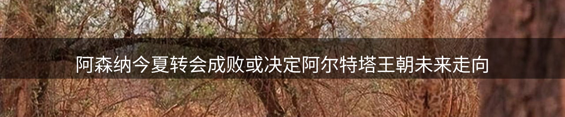 网站资讯